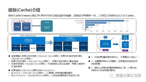 从基础到高级的服务器技术解析