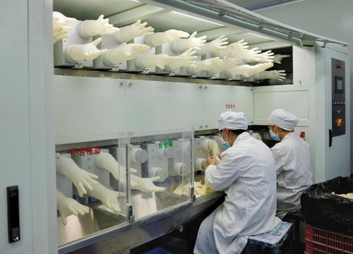 促进实体经济振兴 稳健 桂林 乳胶面向未来升级